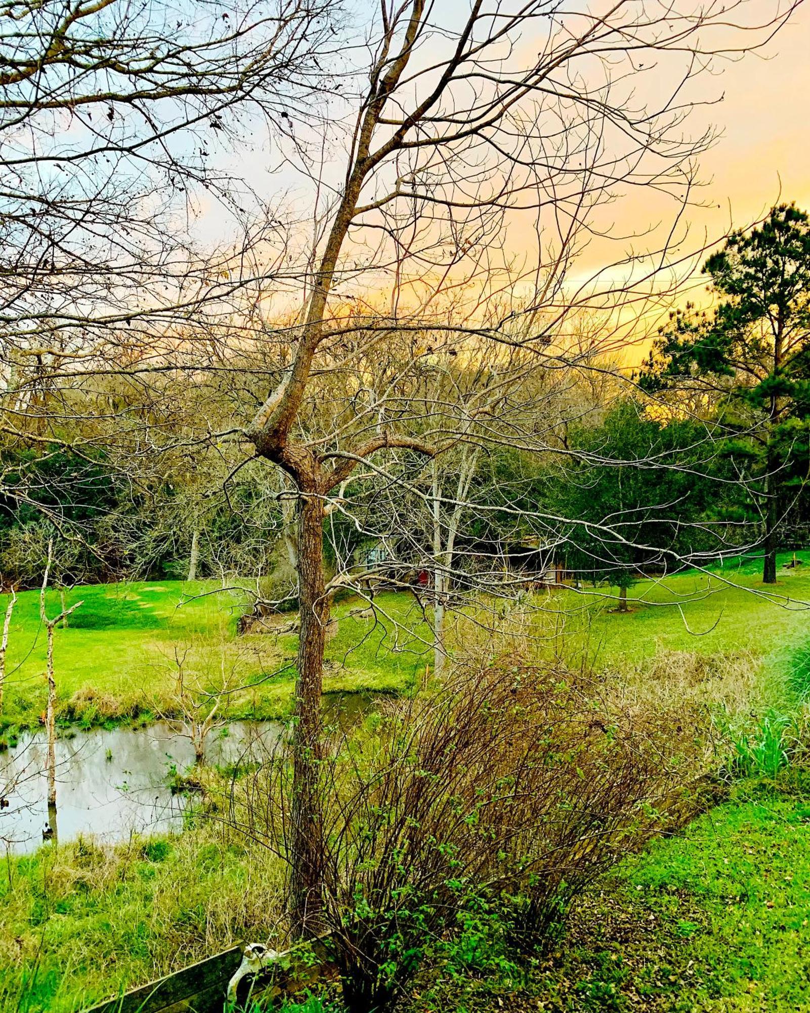 Circa 1900 - Historic - Romantic - Private - Pond - Fenced Yard - The Cottage At Chappell Hill Esterno foto
